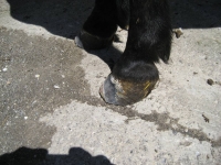bild11