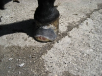 bild12