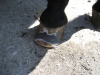 bild13