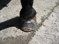 bild14