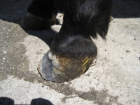 bild15