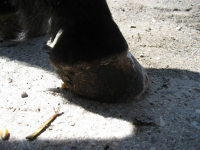 bild17