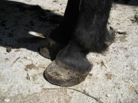 bild19