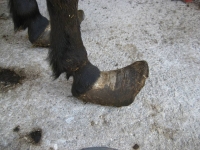 bild5