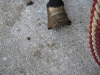 bild8