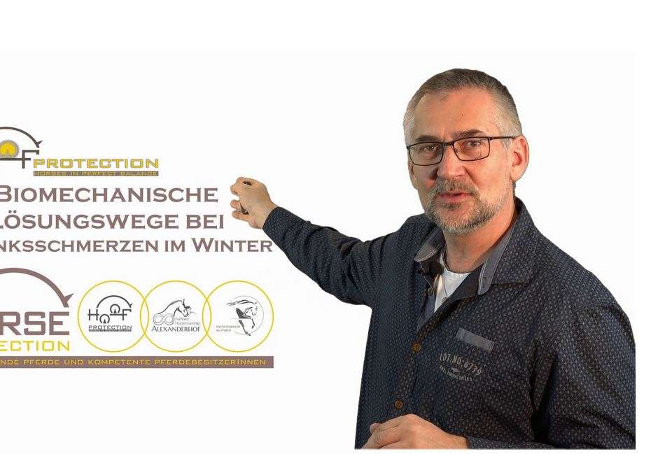 Pferd Wels 2022