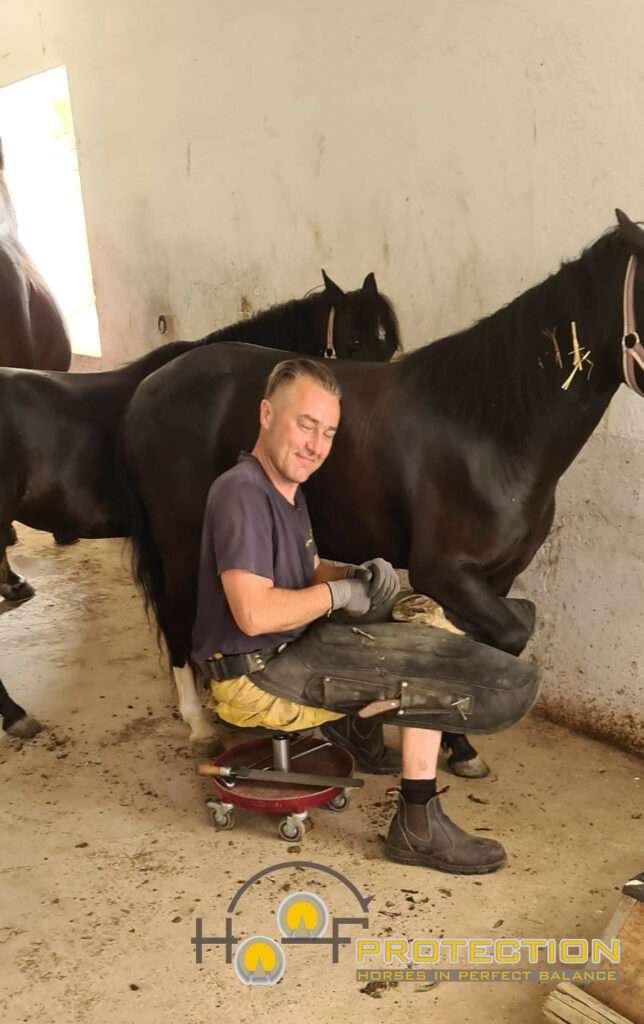Hans bei der Arbeit- Hufrehe