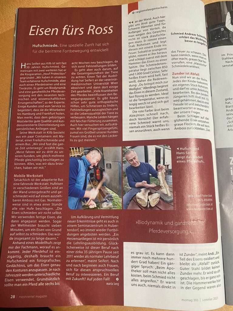 Hufrehe Kompetenz von Hoofprotection