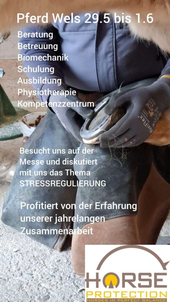 Hufschmiede bei der Arbeit